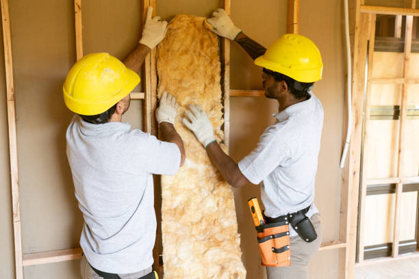 Reliable Bonita, CA Insulation Removal & Installation Solutions